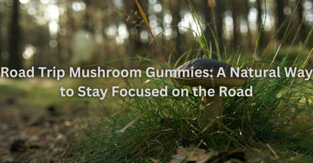 Road Trip Mushroom Gummies: A Natural Way to Stay Focused on the Road