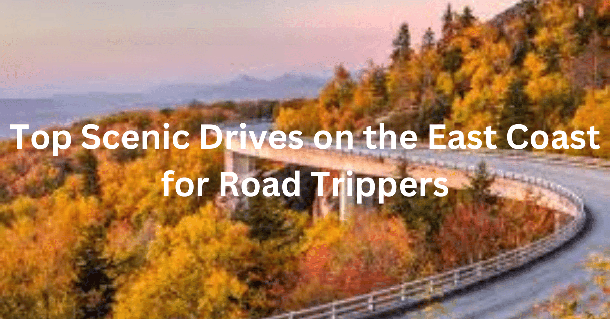 Top Scenic Drives on the East Coast for Road Trippers